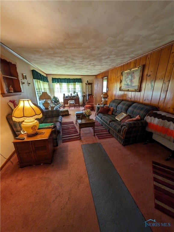 carpeted living room with wooden walls