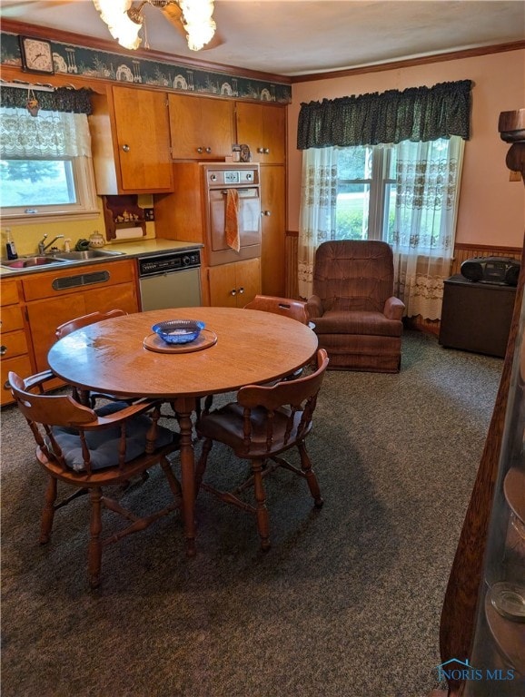 carpeted dining room featuring sink, a healthy amount of sunlight, and crown molding