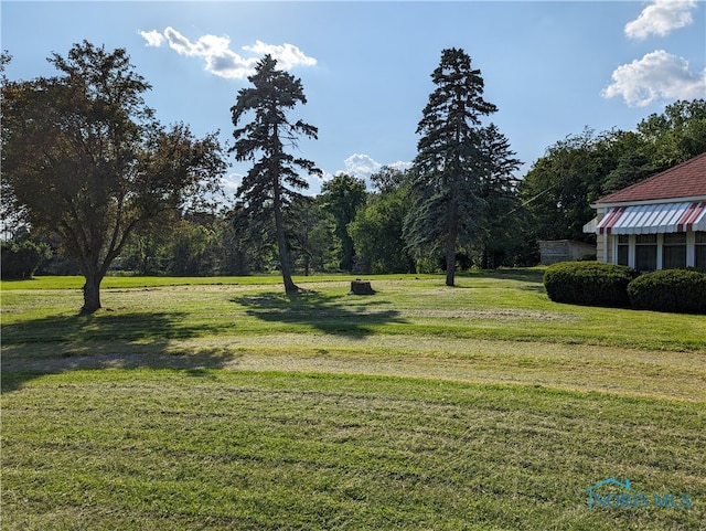 view of yard