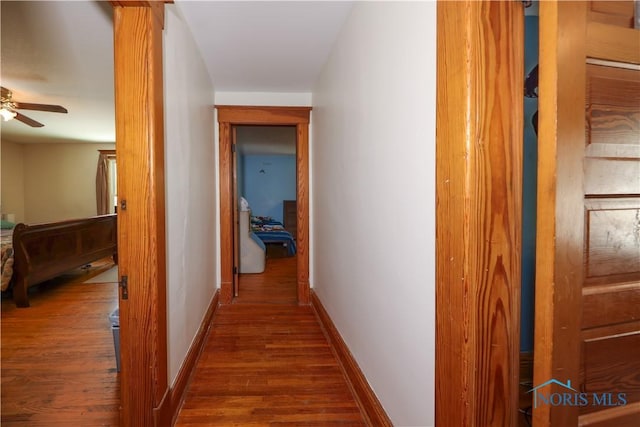 hallway featuring dark wood-type flooring