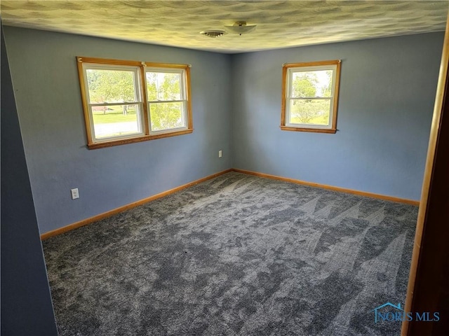 carpeted spare room with plenty of natural light