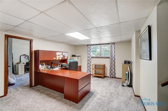 home office with a drop ceiling and light carpet