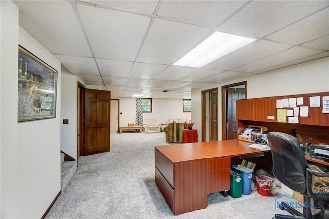 carpeted home office featuring a drop ceiling and wood walls