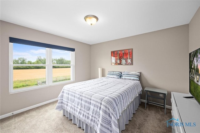 bedroom featuring carpet flooring