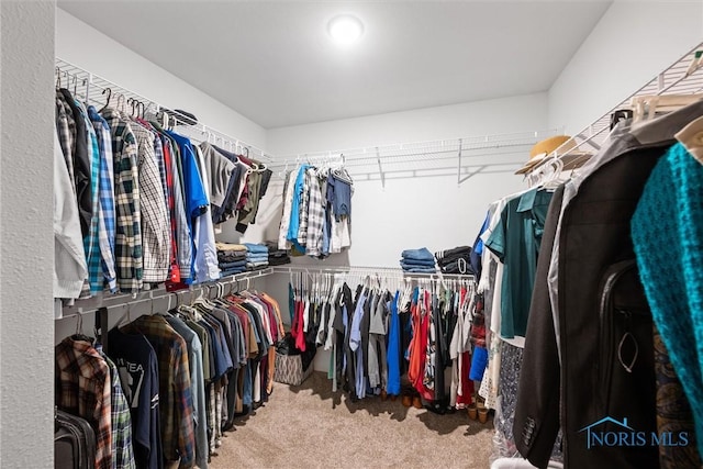 walk in closet with carpet