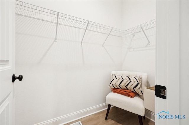 walk in closet featuring wood finished floors