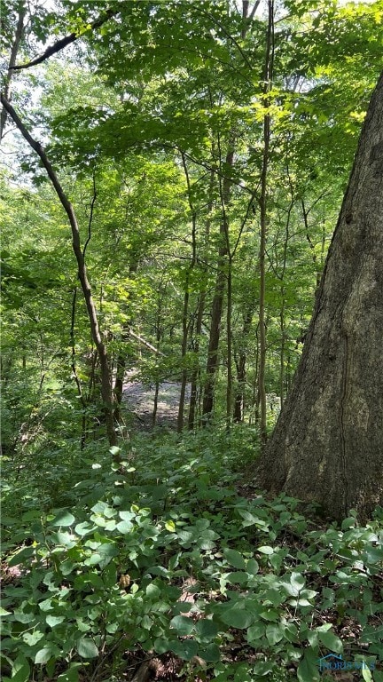 view of nature