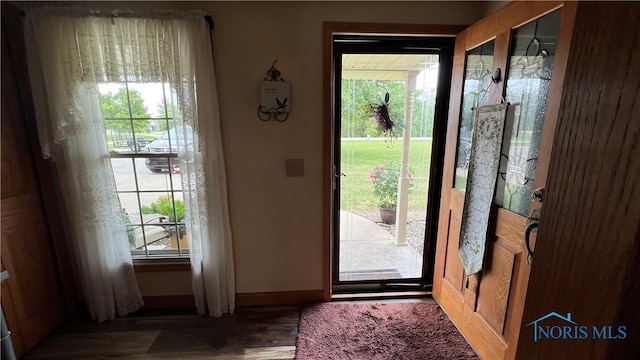 doorway to outside featuring dark wood-type flooring and a wealth of natural light