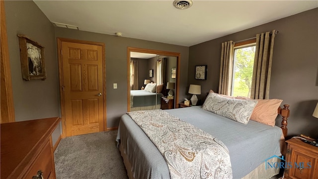 carpeted bedroom featuring a closet