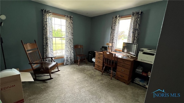 carpeted office space with a wealth of natural light