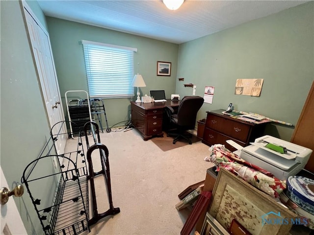 office featuring light colored carpet