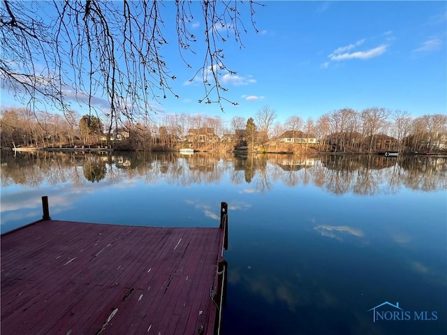 dock area featuring a water view