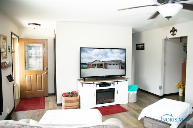 living room featuring ceiling fan and wood-type flooring