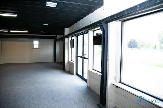 empty room with carpet and a wealth of natural light