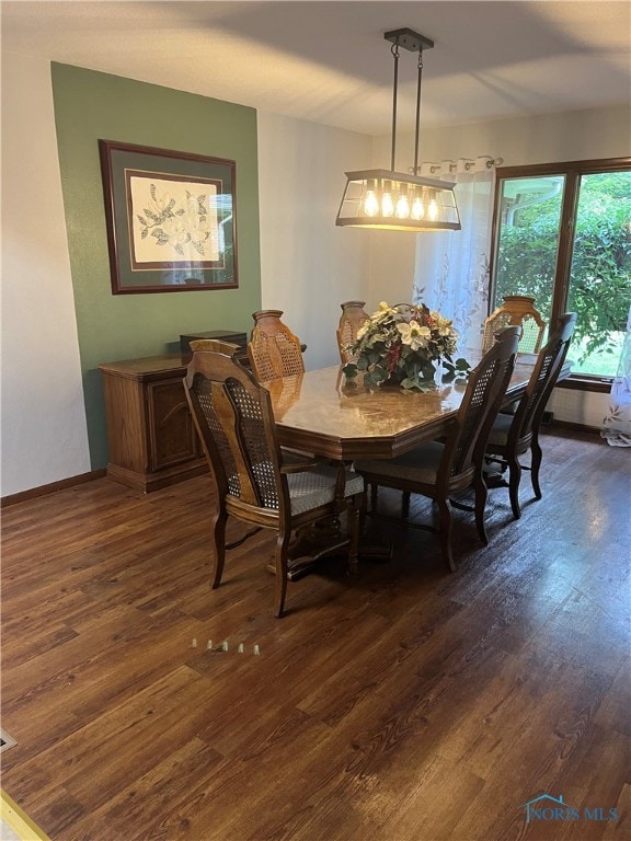 dining space featuring dark wood-type flooring