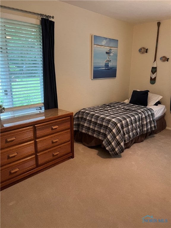 bedroom with carpet floors