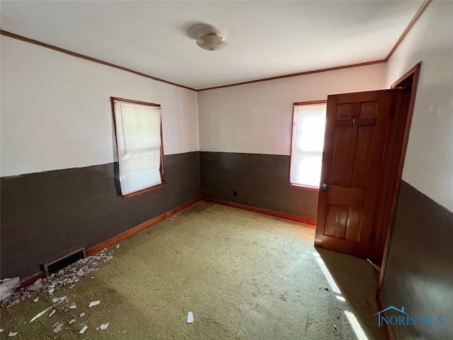 empty room featuring crown molding and carpet