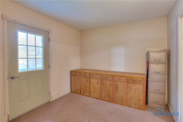 entryway with light carpet