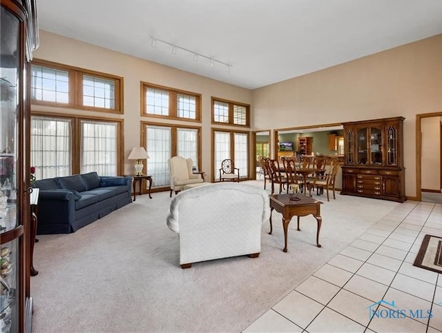 carpeted living room with track lighting