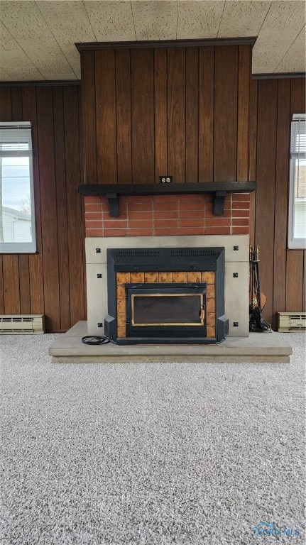 interior details with baseboard heating and wooden walls