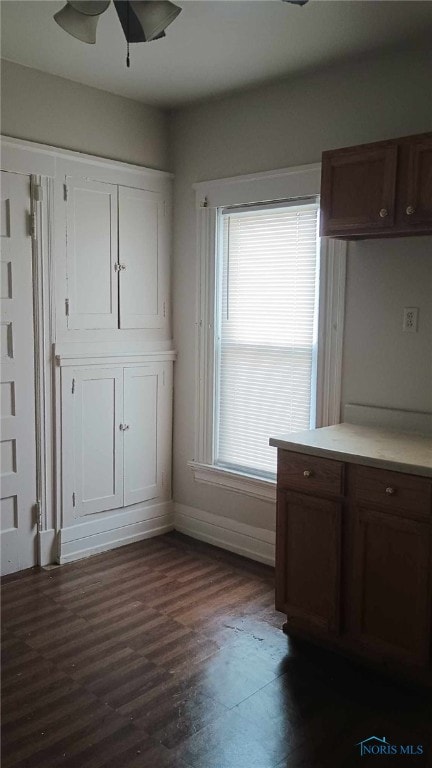 kitchen with dark hardwood / wood-style floors and ceiling fan