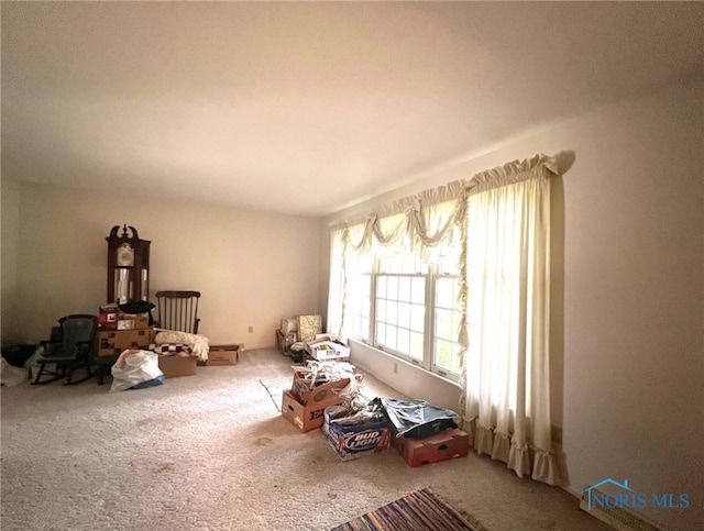 miscellaneous room featuring carpet flooring