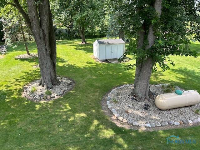 view of yard with a storage shed