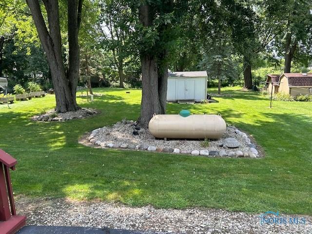 view of yard with a storage shed