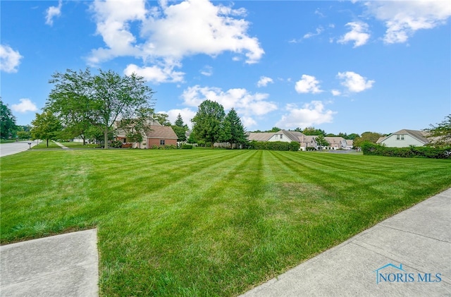 view of yard