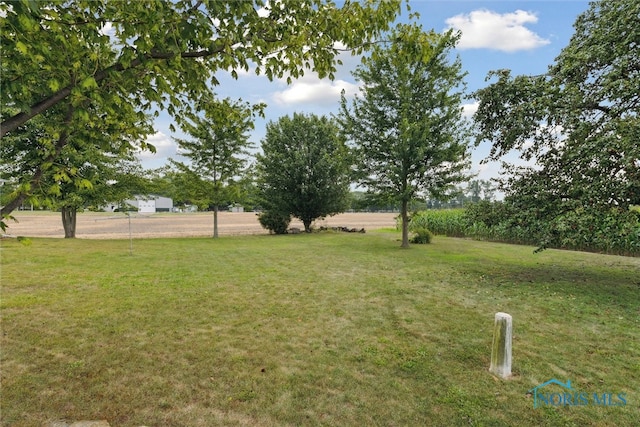 view of yard with a rural view