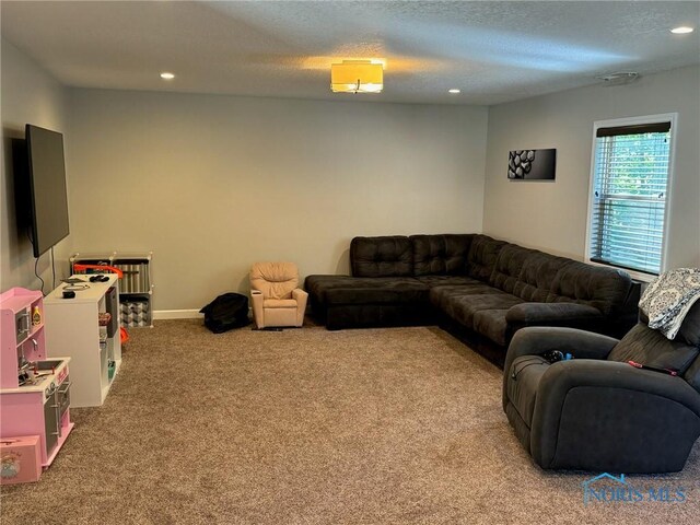 living room with light carpet and a textured ceiling