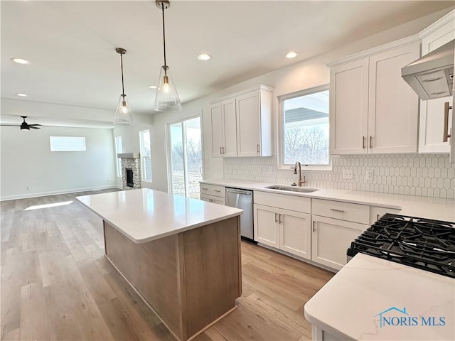 kitchen featuring a sink, white cabinets, open floor plan, light countertops, and stainless steel dishwasher