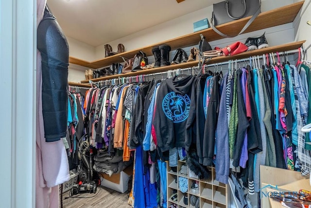 walk in closet featuring wood finished floors