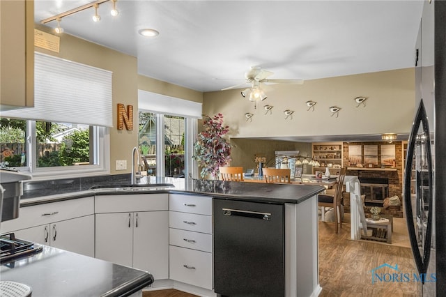 kitchen with sink, light wood-type flooring, track lighting, dishwasher, and ceiling fan