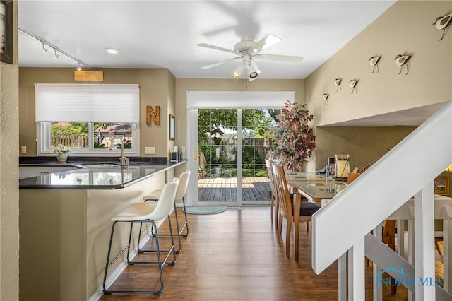 kitchen featuring ceiling fan, a wealth of natural light, hardwood / wood-style flooring, and track lighting