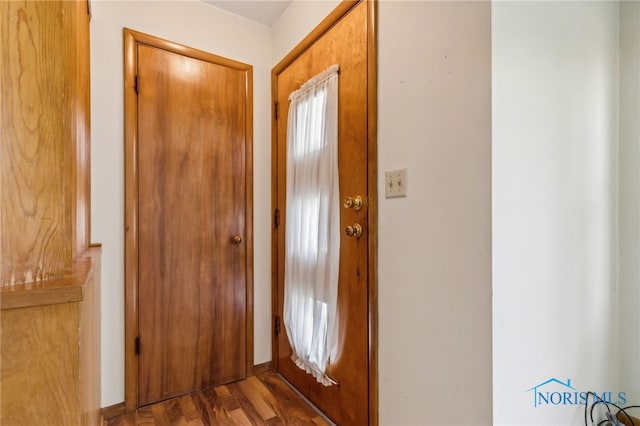 foyer with wood-type flooring