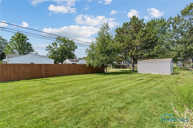 view of yard with a shed