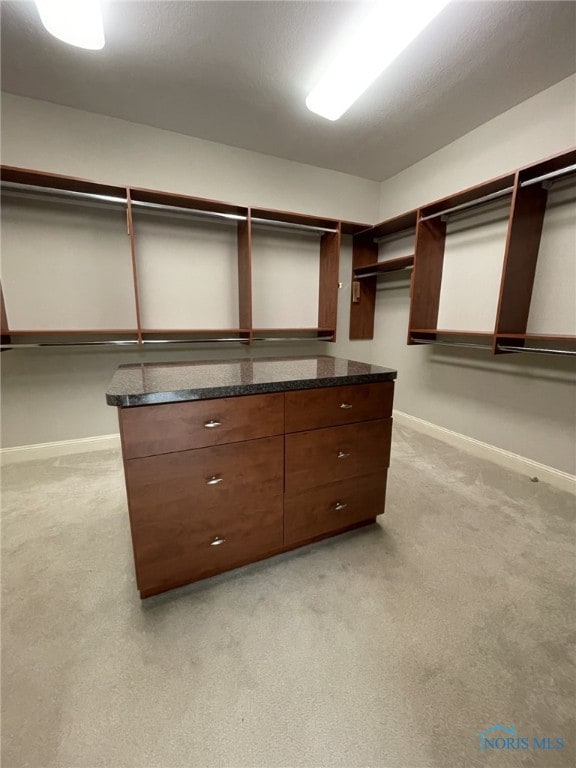 spacious closet featuring light carpet