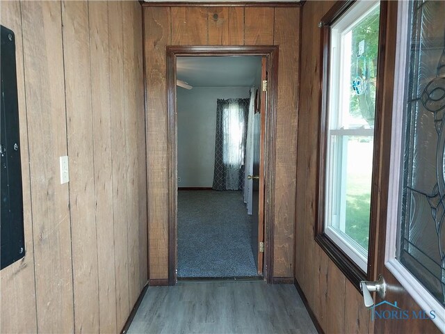 hallway featuring light hardwood / wood-style flooring, wooden walls, and plenty of natural light