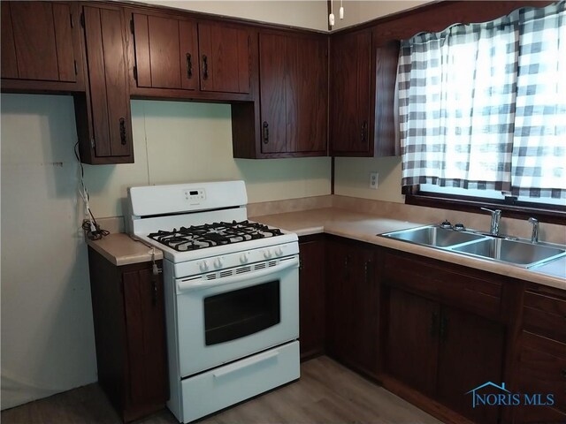 kitchen with hardwood / wood-style floors, sink, dark brown cabinets, and white gas range