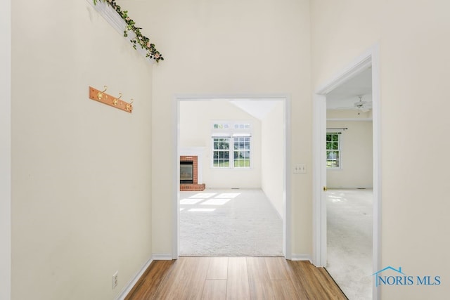 hall with carpet floors