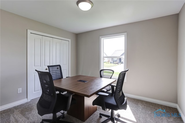 office space featuring carpet flooring