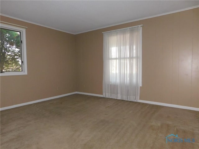 spare room with baseboards, carpet, and ornamental molding