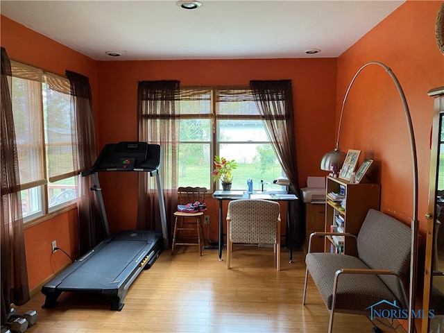 exercise area with light hardwood / wood-style floors and a wealth of natural light