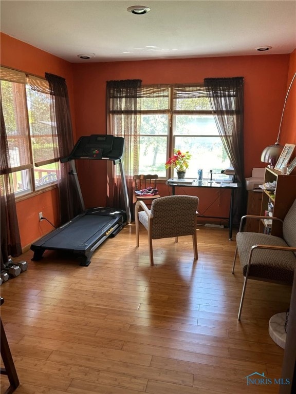 workout room with plenty of natural light and light hardwood / wood-style floors