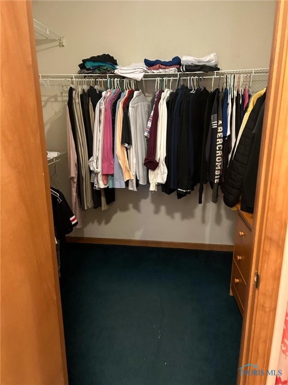 walk in closet featuring carpet floors