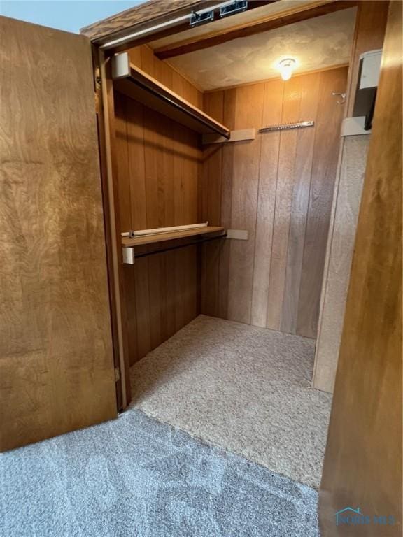 spacious closet with carpet