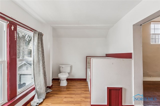 bathroom with wood-type flooring, toilet, and lofted ceiling