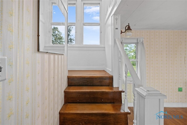 staircase with hardwood / wood-style floors