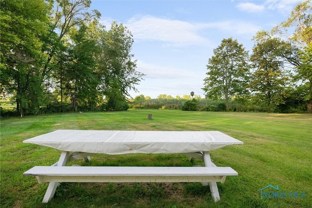 view of home's community featuring a yard